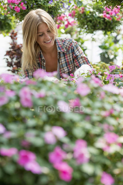 Mulher loira que cuida de plantas com flores e folhagem verde no viveiro de plantas . — Fotografia de Stock