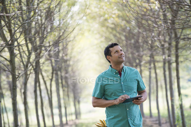 Mann steht in Baumallee und hält digitales Tablet in der Hand. — Stockfoto