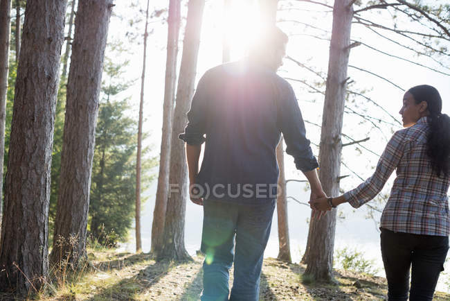 Rear view of couple walking hand in hand in woodland on shore of forest lake. — Stock Photo