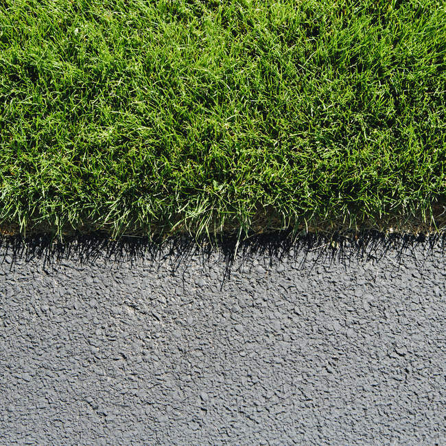 Dettaglio di erba rigogliosa e verde e marciapiede — Foto stock