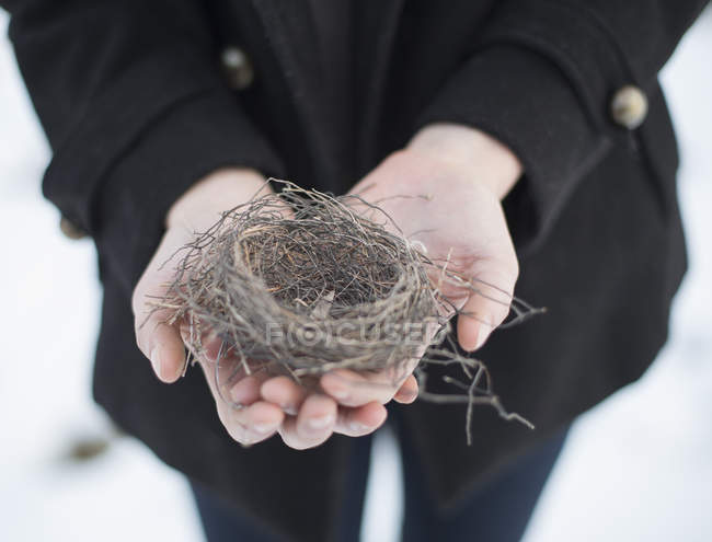 Cropped view of young woman holding bird nest in hands. — Stock Photo