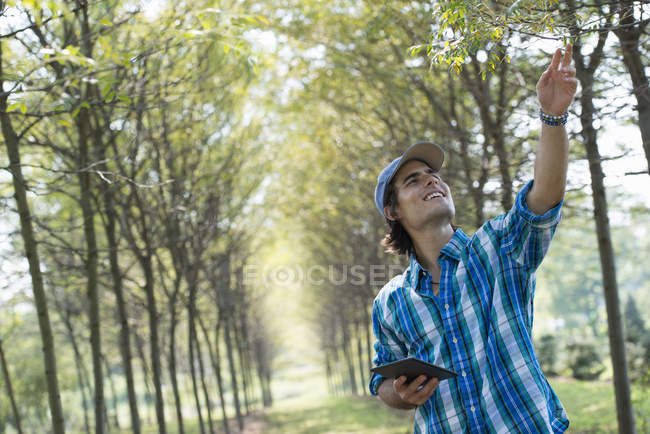 Mann steht in Baumallee und hält digitales Tablet in der Hand. — Stockfoto