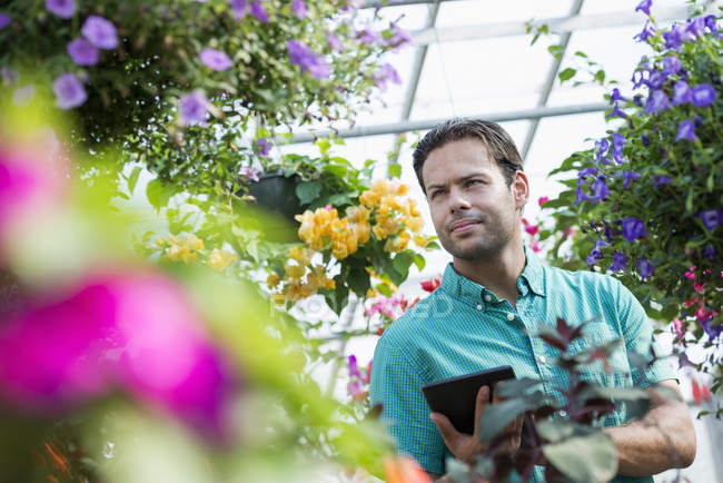Young man holding digital tablet in flower greenhouse of plant nursery. — Stock Photo