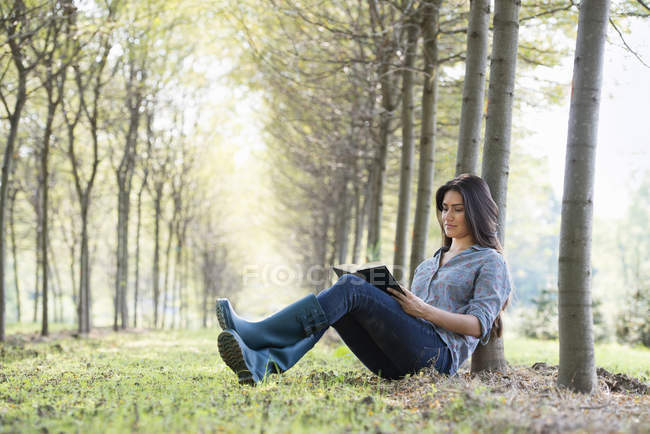 Mujer sentada y leyendo libro bajo los árboles en el bosque
. - foto de stock