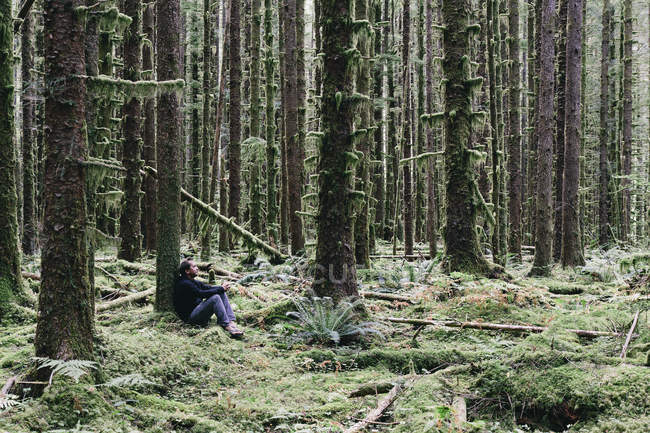Homem sentado entre árvores de abeto cobertas de musgo na exuberante floresta tropical em Washington, EUA — Fotografia de Stock