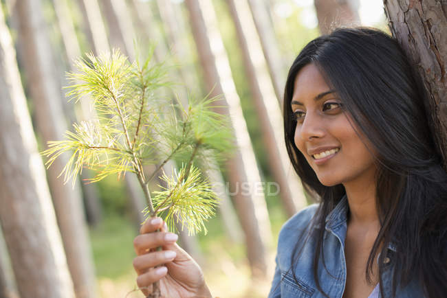 Young mixed race woman holding pine tree branch in forest. — Stock Photo