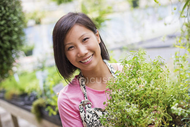Donna asiatica che cura le giovani piante in casa di vetro in fattoria biologica . — Foto stock