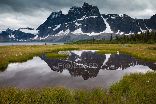 Горы и зеленый луг в Национальном парке Джаспер, Альберта, Канада — стоковое фото