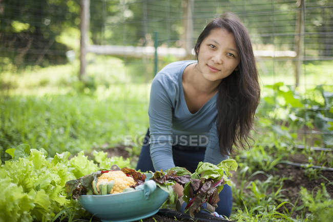 Junge Frau pflückt Gemüse auf traditionellem Bauernhof auf dem Land. — Stockfoto