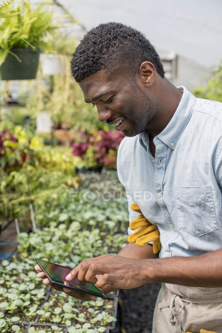 Молодой человек использует цифровой планшет в органических садоводческих питомниках . — стоковое фото