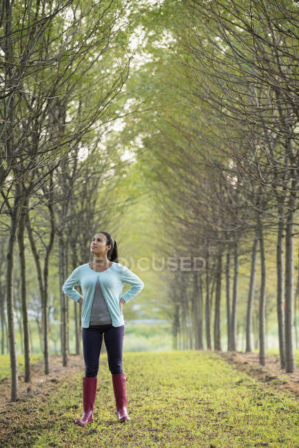 Woman between rows of trees looking up with hands on hips.. — Stock Photo