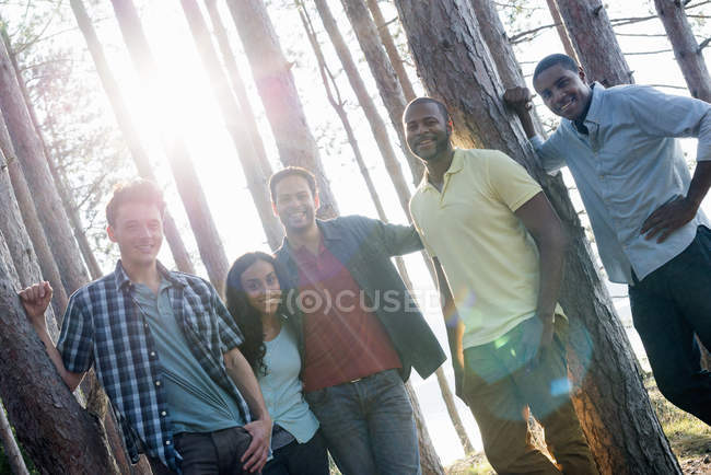 Group of friends gathered in shade of pine trees at lakeside in summer. — Stock Photo
