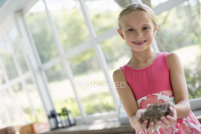 Pre-adolescent girl in pink dress holding bird nest in kitchen. — Stock Photo