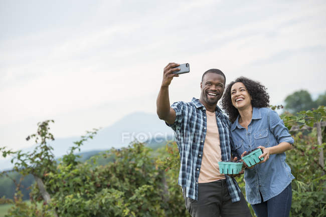 Coppia scattare selfie con smartphone mentre la raccolta di more . — Foto stock