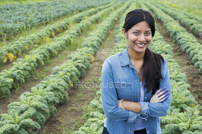 Женщина, стоящая со скрещенными руками перед рядами кудрявых зеленых овощных растений на органической ферме . — стоковое фото