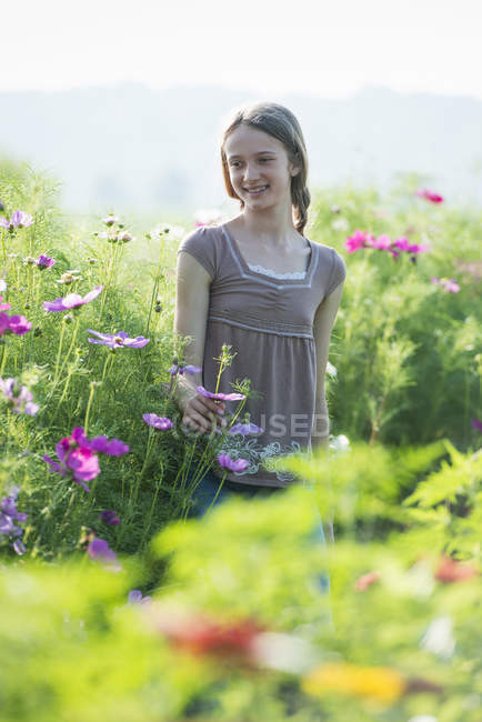 Vorpubertierendes Mädchen posiert auf Feld einer Blumenfarm. — Stockfoto