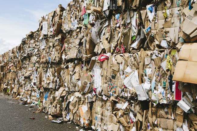 Installation de recyclage avec paquets de carton triés et attachés pour recyclage . — Photo de stock