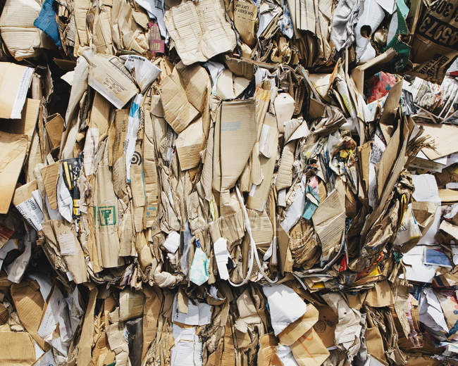 Recyclinganlage mit Kartonbündeln, sortiert und zum Recycling gebunden. — Stockfoto