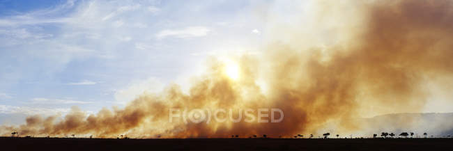Контролируемый пожар с дымом в заповеднике Масаи Мара, Африка — стоковое фото