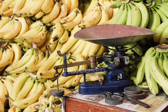 Balances et bananes au marché aux fruits local à Oaxaca, Mexique — Photo de stock
