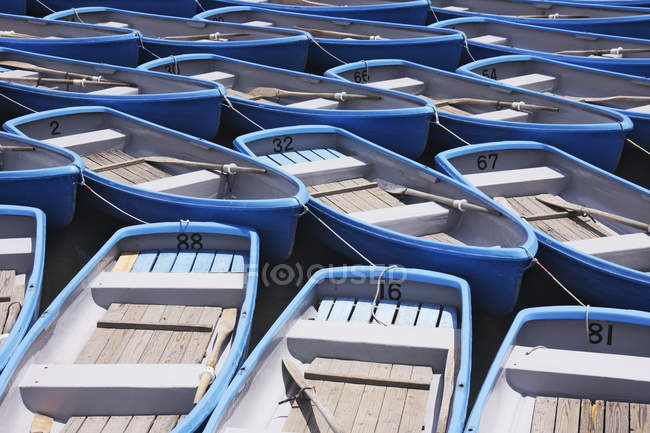 Barcos a remo para aluguer no parque de Kyoto, Japão — Fotografia de Stock