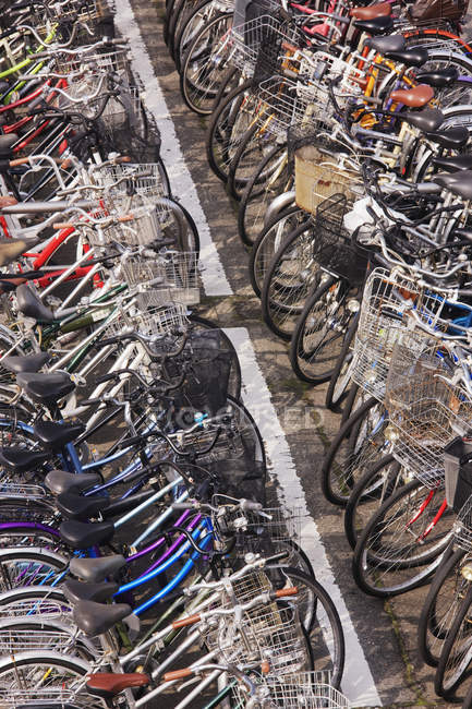 Rows of parked bicycles in town of Kurashiki, Japan — Stock Photo