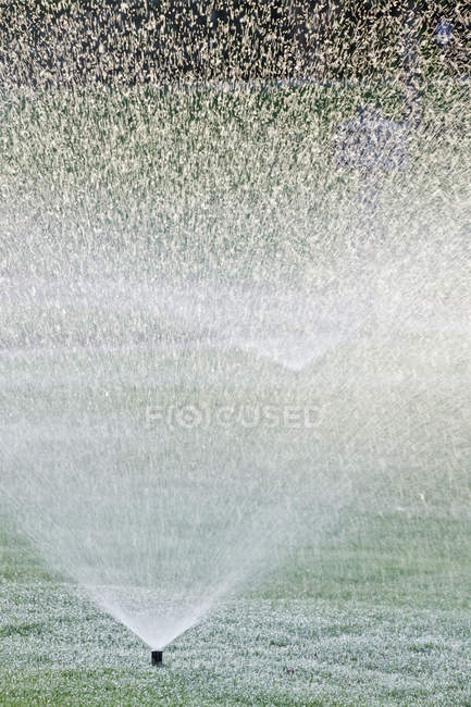 Sprinklers on lawn in McKinney country, Texas, USA — Stock Photo