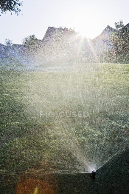Sprinklers on lawn in McKinney country, Texas, USA — Stock Photo