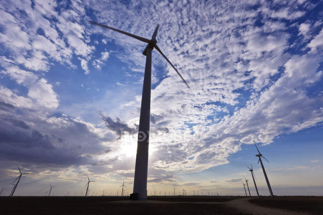 Turbine eoliche a Roscoe, Texas, USA — Foto stock