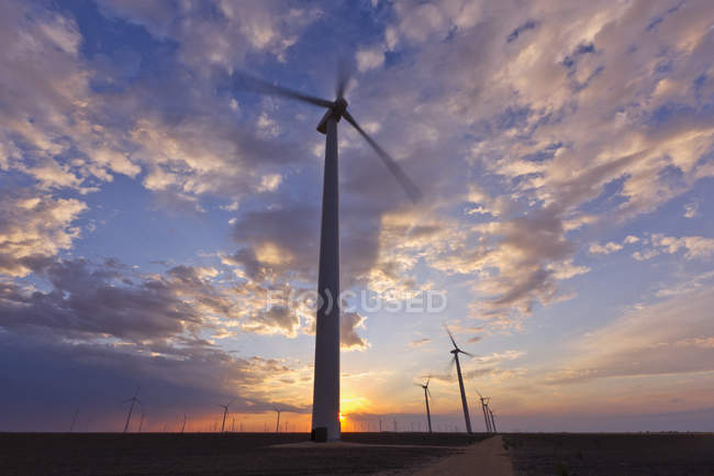 Вітряні турбіни на заході сонця в Роско, Техас, Уса. — стокове фото