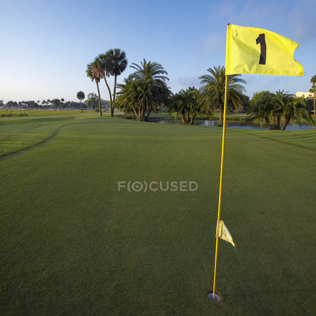 Первая лунка на зеленом поле для гольфа, Брэдфорд, Флорида, США — стоковое фото