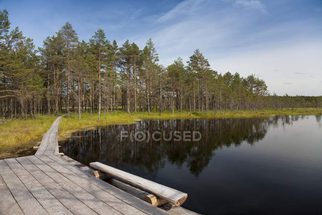 Lago tranquilo en Viru Bog, Estonia - foto de stock