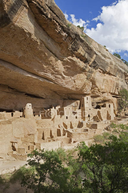 Mesa Verde Cliff Palace National Park Colorado Dwellings Photo Stereoview A62 