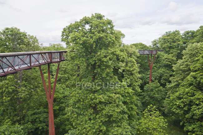 Pasarela de árboles en Kew Gardens, Londres, Inglaterra, Reino Unido - foto de stock