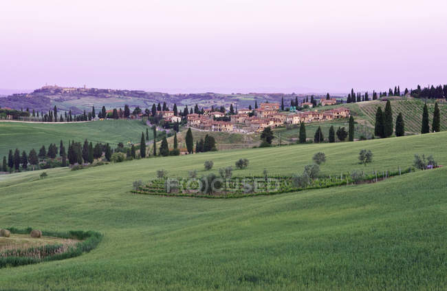 Montecchiello Dorf und Feld im Morgengrauen, Toskana, Italien — Stockfoto