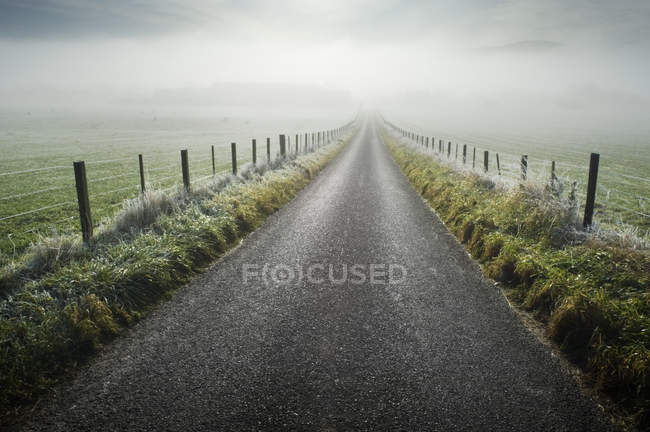 Strada attraverso il campo rurale in tempo nebbioso — Foto stock