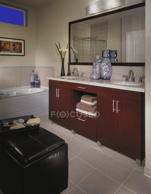 Interni del bagno con design di lusso e vasi sul bancone — Foto stock