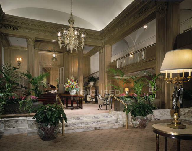 Курортне готельне лобі з рослинами та елегантними прикрасами — стокове фото