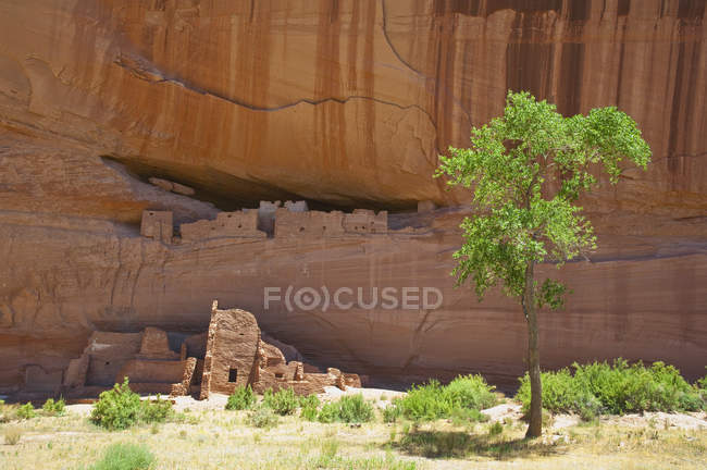 Viviendas de acantilados indios en rocas del desierto, Arizona, EE.UU. - foto de stock