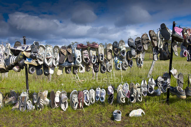 Chaussures suspendues à une clôture rurale pour le séchage, Launceston, Australie — Photo de stock