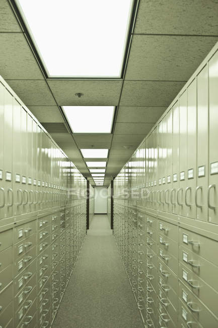 Корни картотечных шкафов в большой комнате, Финикс, Аризона, США — стоковое фото