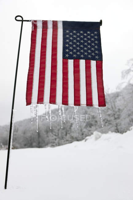 Icicles on American flag and snowy country landscape — Stock Photo