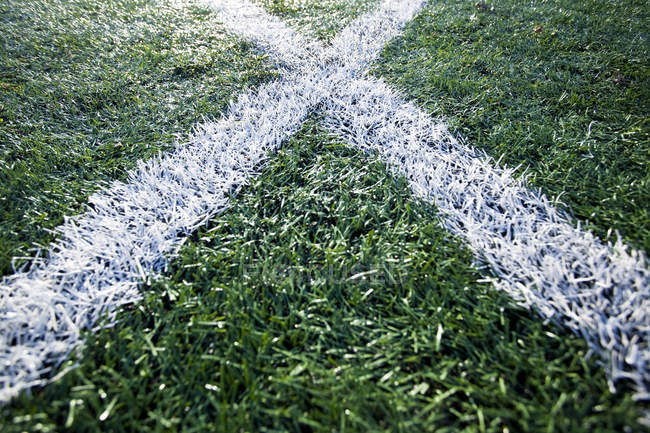 Close-up of lines on sports field in Seattle, Washington, USA — Stock Photo