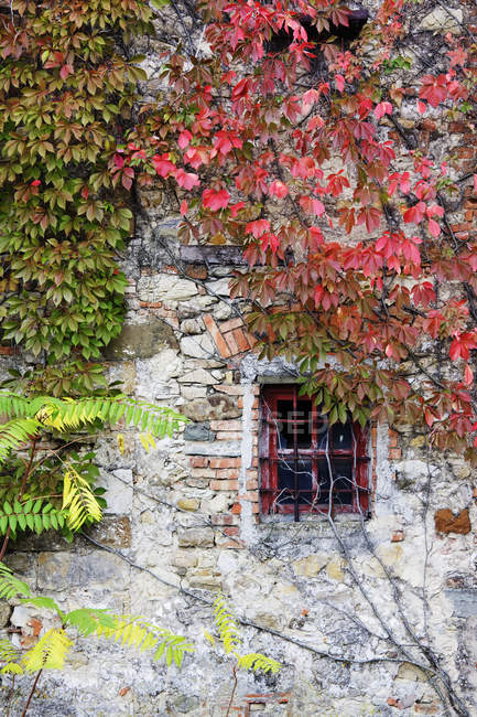 Janela em tijolo velho e casa de campo de pedra na Itália, Europa — Fotografia de Stock