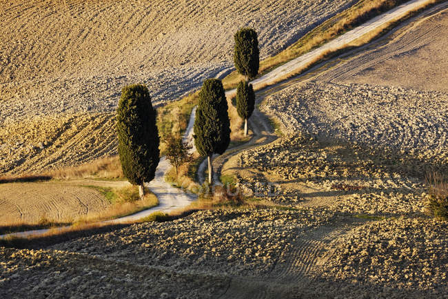 Звивистій дорозі бруду і кипарисів в Італії, Європі — стокове фото