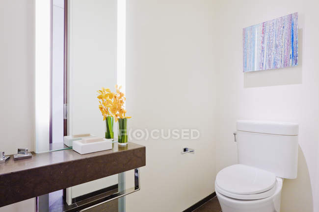 Bathroom space in residential house in Dallas, Texas, USA — Stock Photo