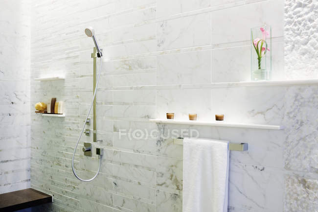 Parete del bagno in casa residenziale a Dallas, Texas, Stati Uniti d'America — Foto stock