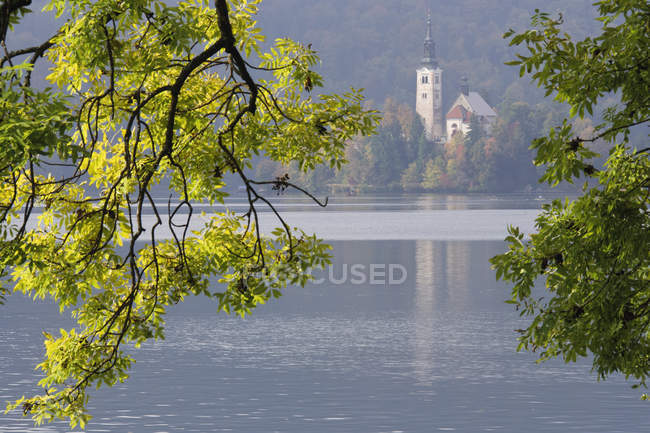 Lago con Chiesa dell'Assunzione in lontananza, Lago di Bled, Slovenia — Foto stock