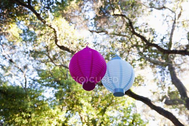Lanterne appese ad un albero in California, USA — Foto stock
