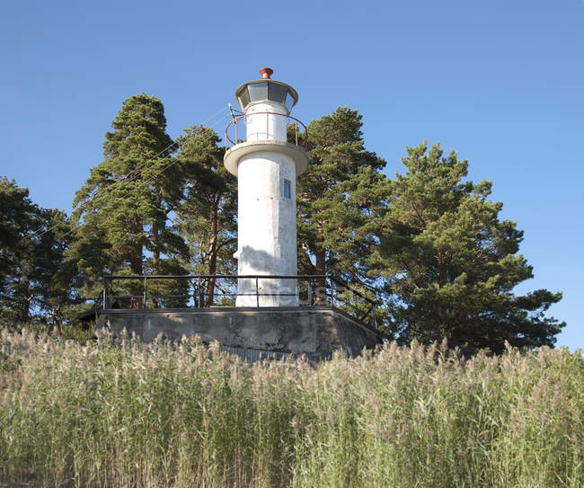 Внешний вид маяка с травой и лесом в Эстонии — стоковое фото